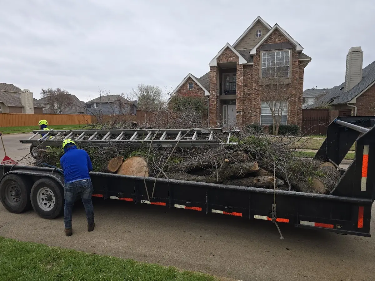 Expert Tree Fertilization with proper safety equipment in Freistatt